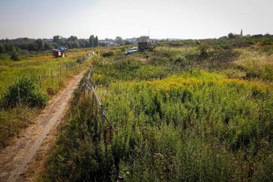 Natuur & Bos snoeit in inspecteurs