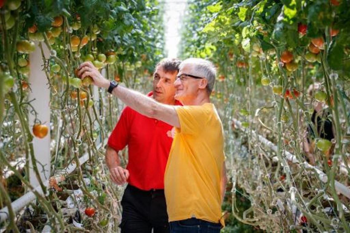 Geert Bourgeois steekt handen uit de mouwen in innovatief tuinbouwbedrijf
