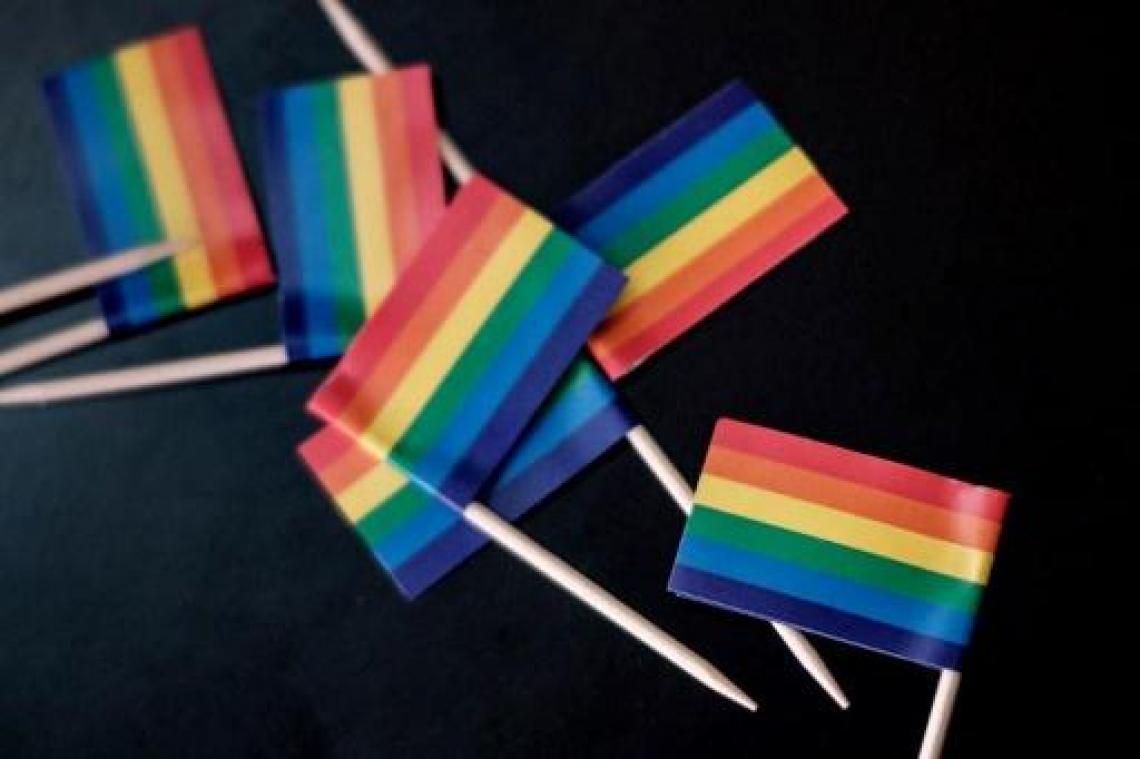 Wel Jong Niet Hetero vraagt reclame en media om meer LGBT-rolmodellen te gebruiken