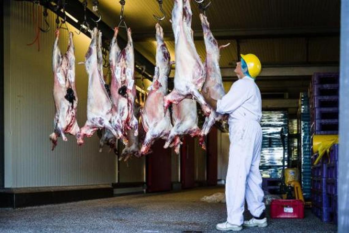 Drie tijdelijke slachtvloeren in Vlaanderen tijdens Offerfeest