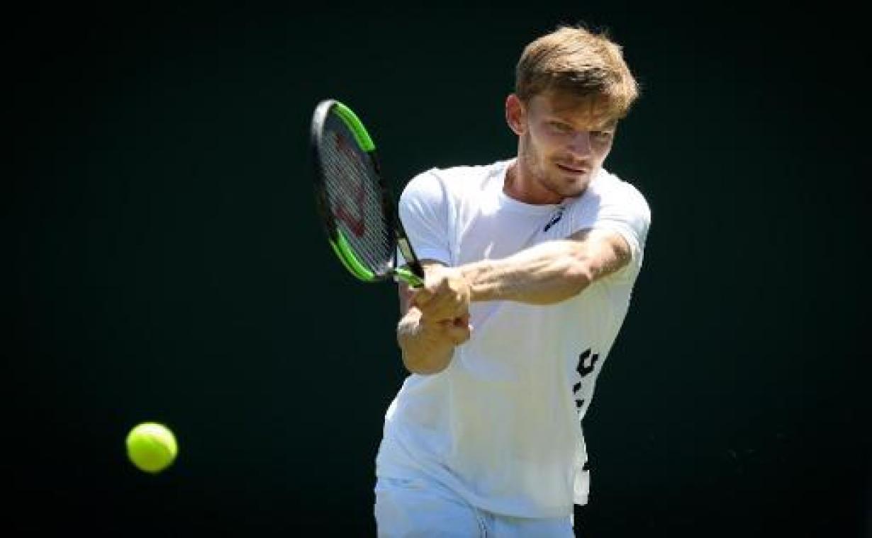 ATP Cincinnati - Goffin na zege tegen Wimbledon-finalist Kevin Anderson: "Het gaat steeds beter"