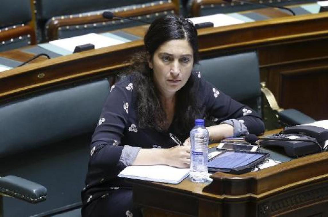 Demir wil racistische koorzangers Pukkelpop meenemen naar Afrikamuseum