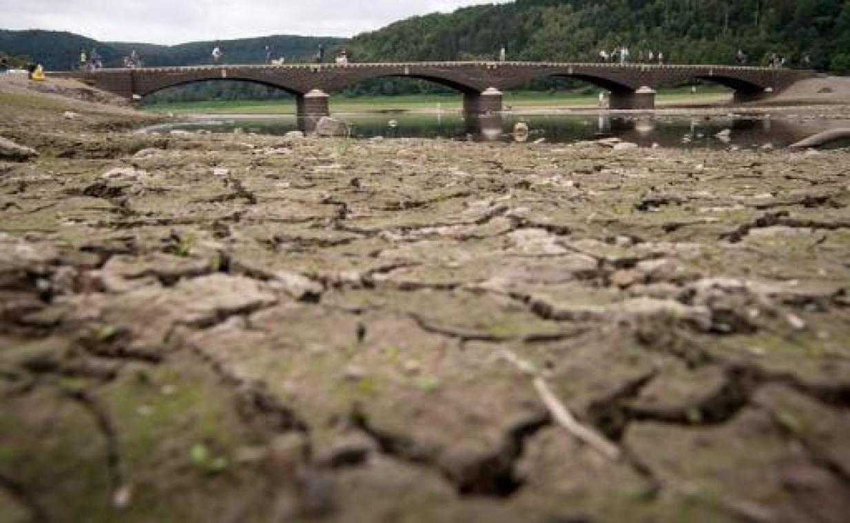 Duitsland maakt 340 miljoen vrij voor door droogte getroffen landbouwers