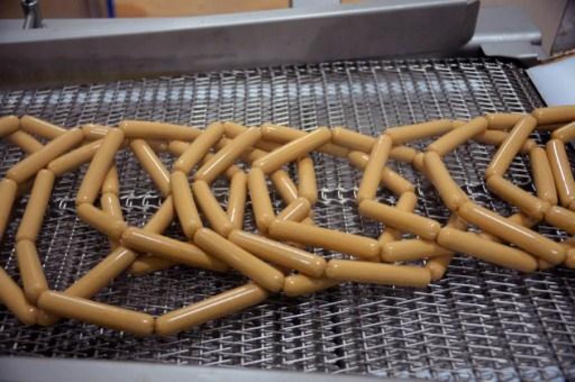 Smits roept kippenproducten terug vanwege mogelijke aanwezigheid van salmonella