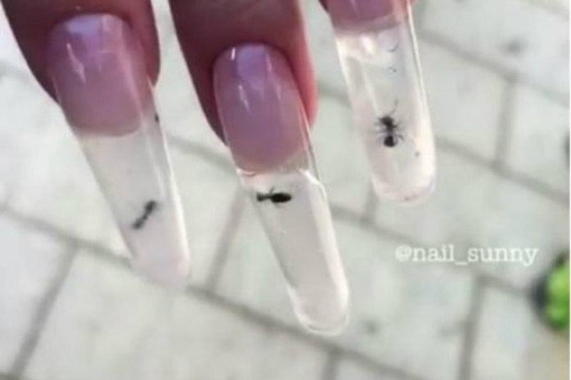 Bizar. In dit schoonheidssalon kan je valse nagels met levende mieren laten zetten