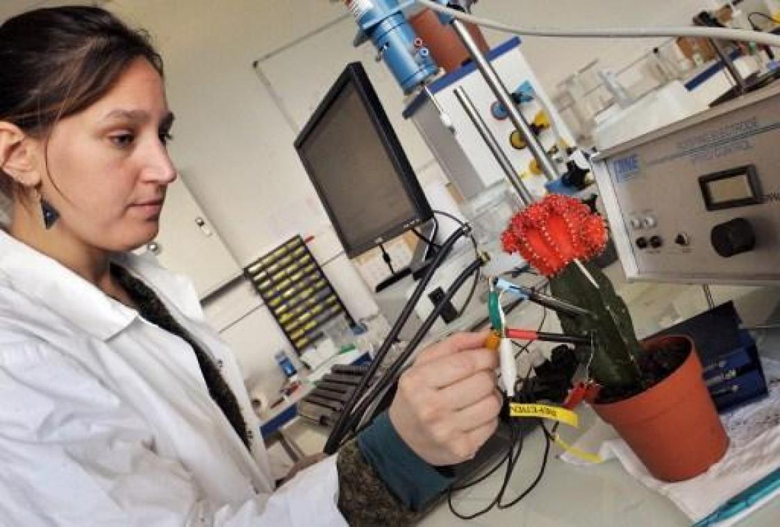Chemiesector trapt derde schooljaar met proefprojecten duaal leren af
