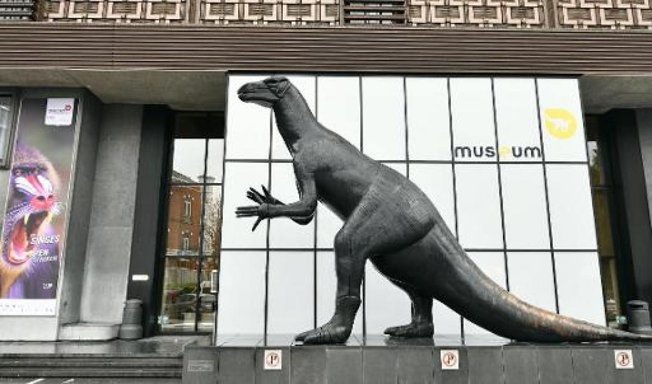 Grote natuurhistorische musea spreken steun uit voor afgebrand Braziliaans museum