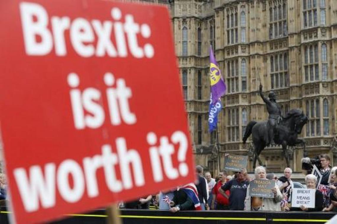 Brexit: politie vreest voor rellen onder bevolking