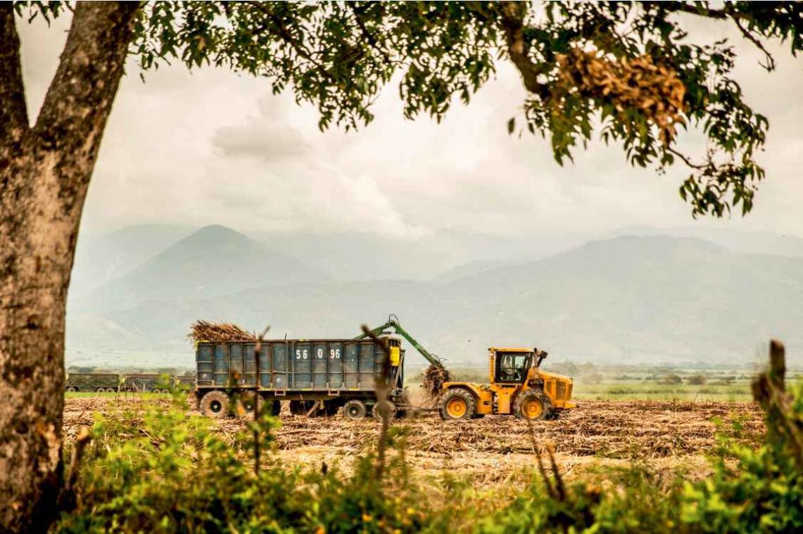 Colombia, een land waar de strijd om grond nog hevig woedt