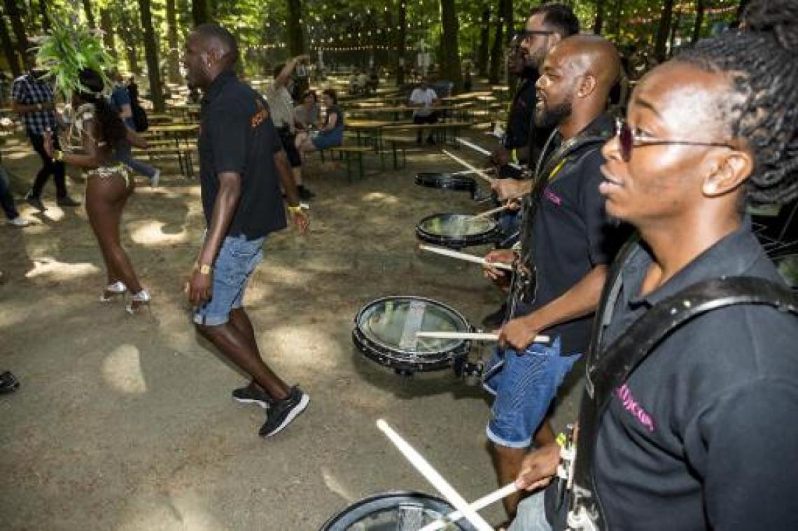 N-VA distantieert zich na racistische uitspraken van kandidaat over "typische negergeluiden"