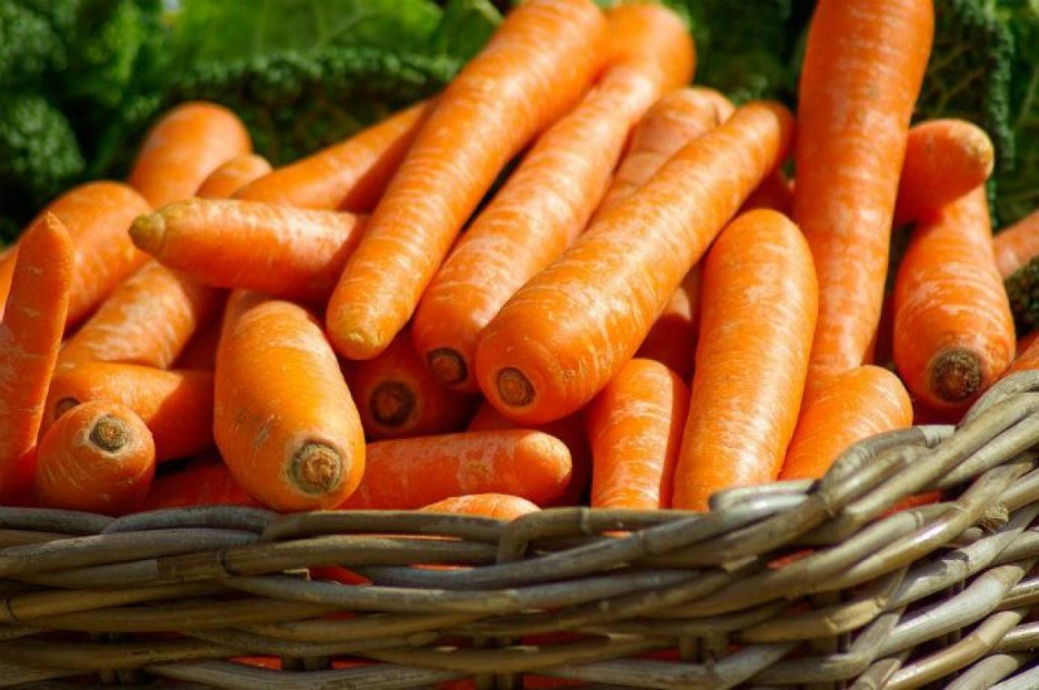 Dankzij deze tip eten je kinderen meer groenten