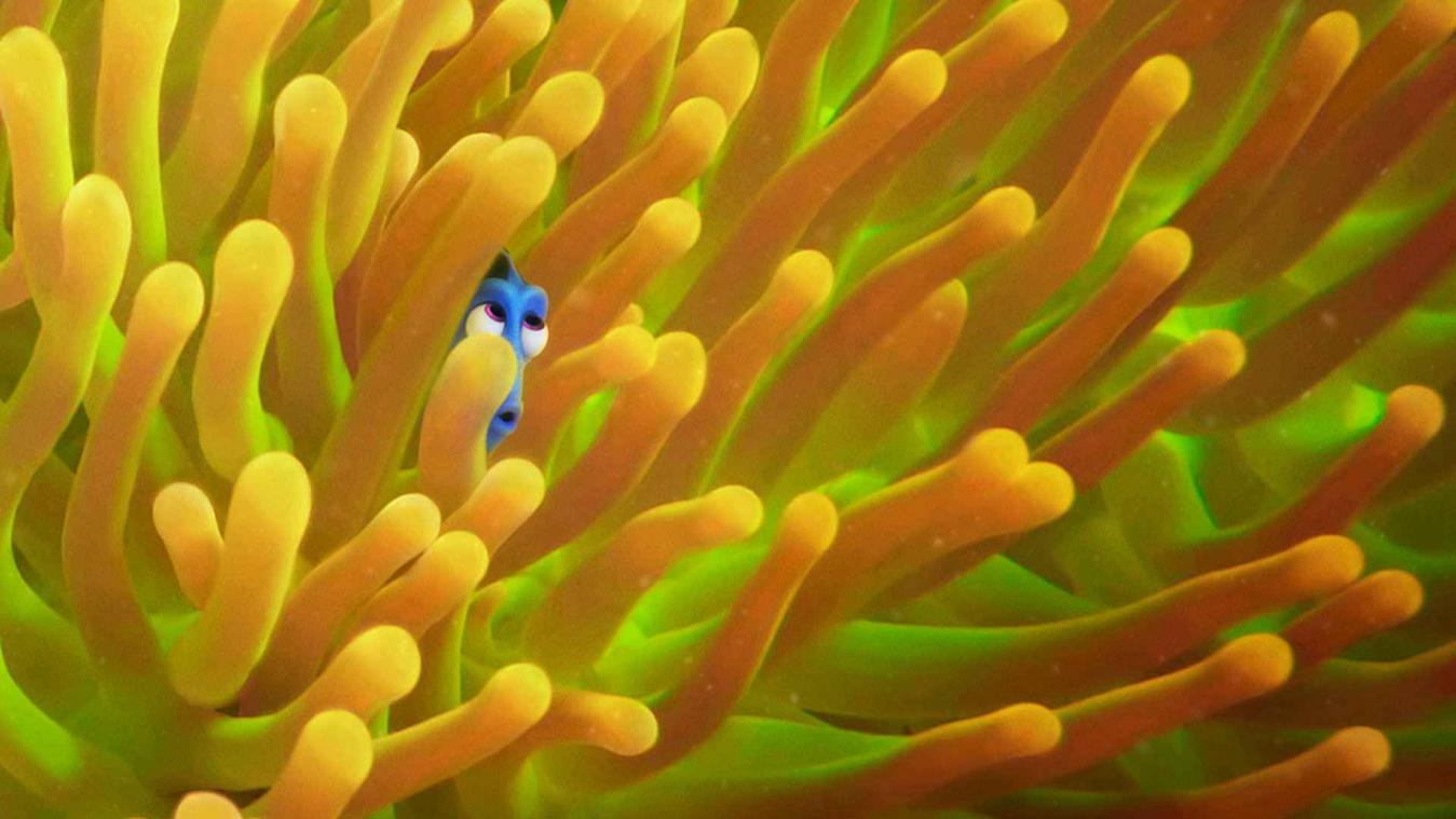 Bekijk de nieuwe trailer van 'Finding Dory'