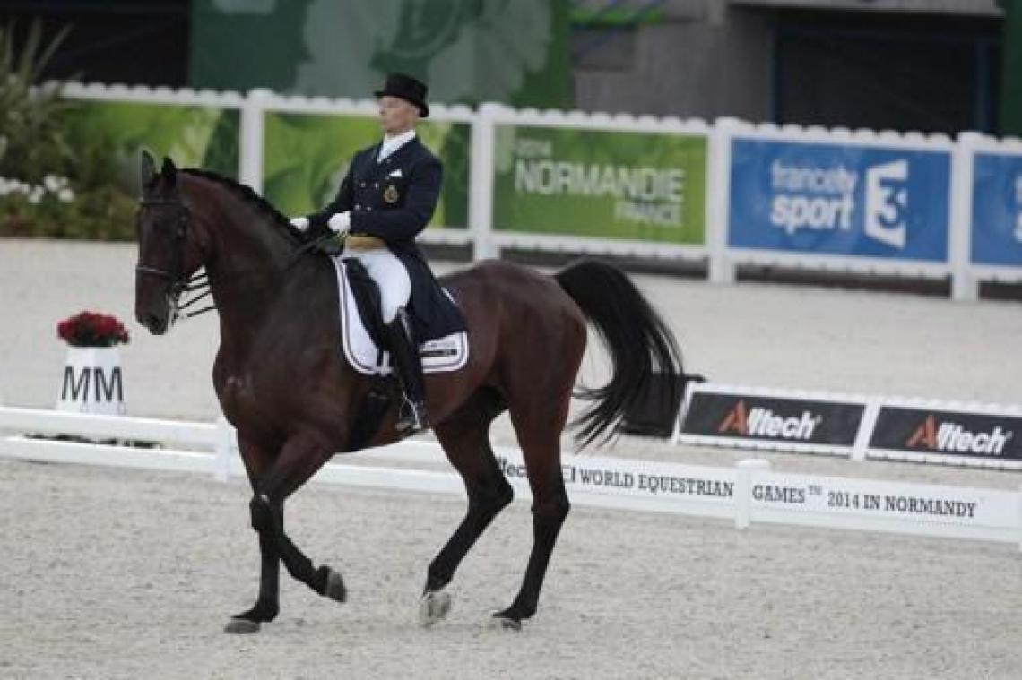 Belgische dressuurploeg grijpt met negende plaats naast olympisch ticket