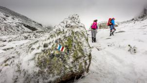 Edition numérique des abonnés