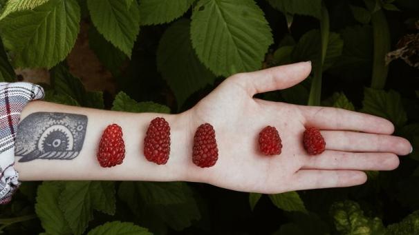 Edition numérique des abonnés