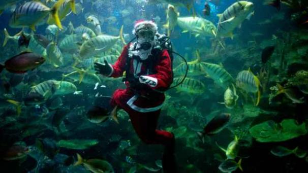 Edition numérique des abonnés