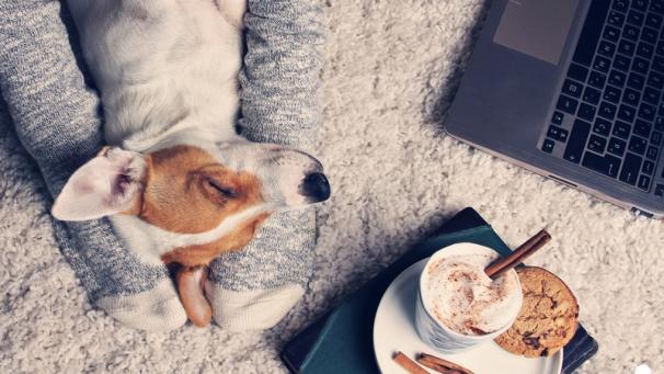 Edition numérique des abonnés