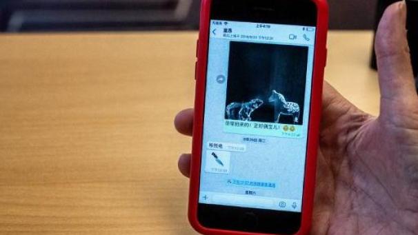 Edition numérique des abonnés