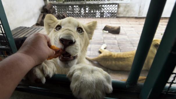 Edition numérique des abonnés