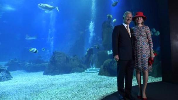 Edition numérique des abonnés