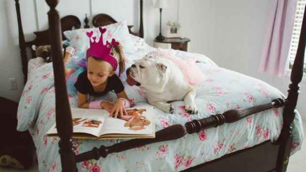 Edition numérique des abonnés