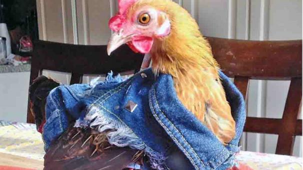 Edition numérique des abonnés