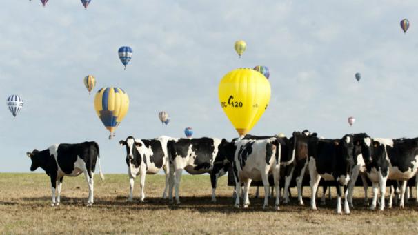 Edition numérique des abonnés