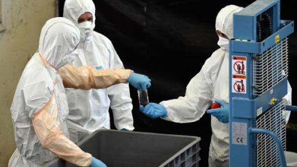 Edition numérique des abonnés