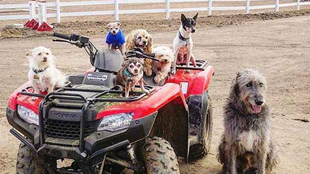 Edition numérique des abonnés