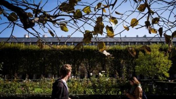 Edition numérique des abonnés