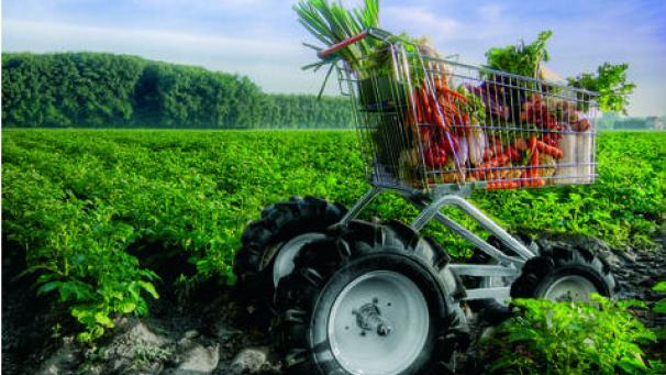 Edition numérique des abonnés