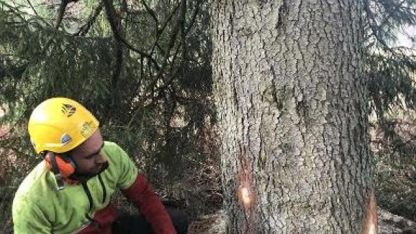 Edition numérique des abonnés