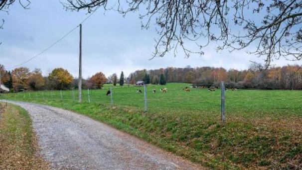 Edition numérique des abonnés