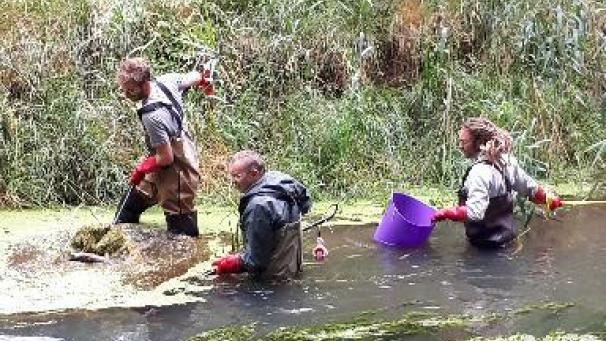 Edition numérique des abonnés