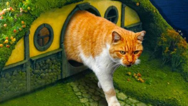 Edition numérique des abonnés