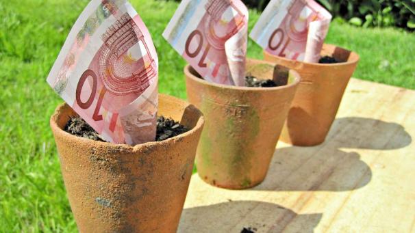 Edition numérique des abonnés