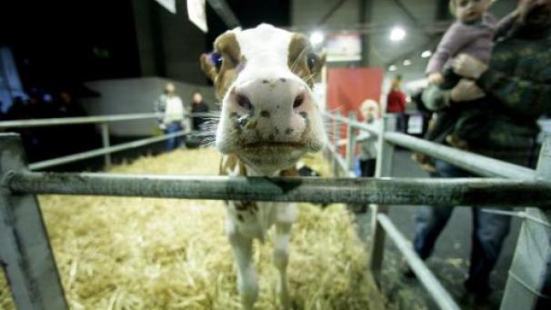 Edition numérique des abonnés