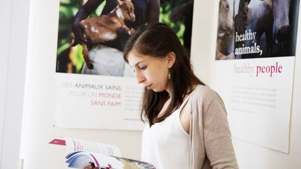 Edition numérique des abonnés