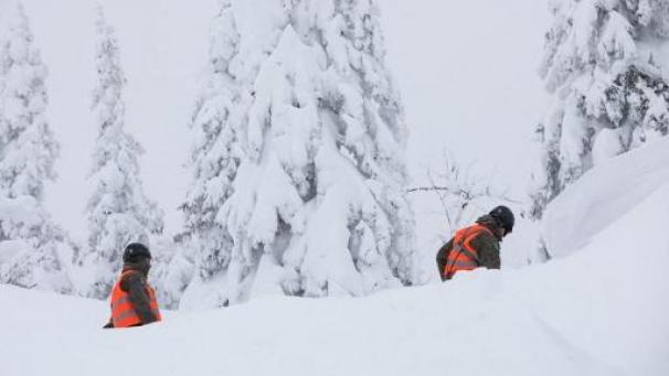 Edition numérique des abonnés