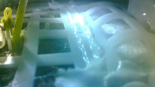 Edition numérique des abonnés