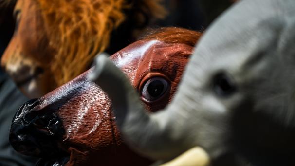 Edition numérique des abonnés