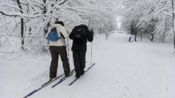 Edition numérique des abonnés