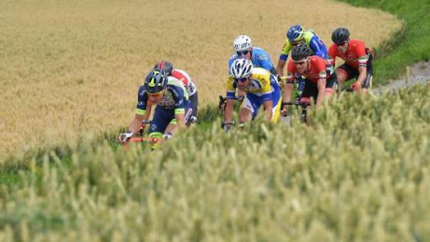 Edition numérique des abonnés