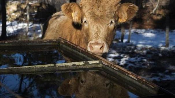 Edition numérique des abonnés