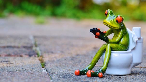 Edition numérique des abonnés