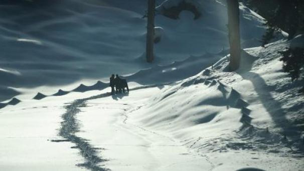 Edition numérique des abonnés