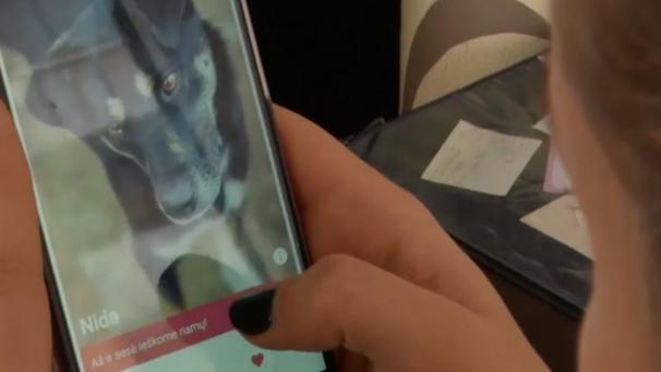 Edition numérique des abonnés