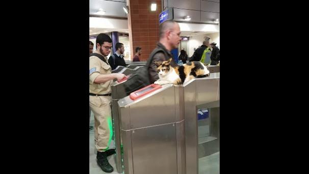 Edition numérique des abonnés