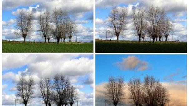 Edition numérique des abonnés