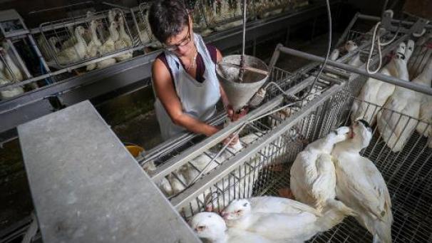 Edition numérique des abonnés